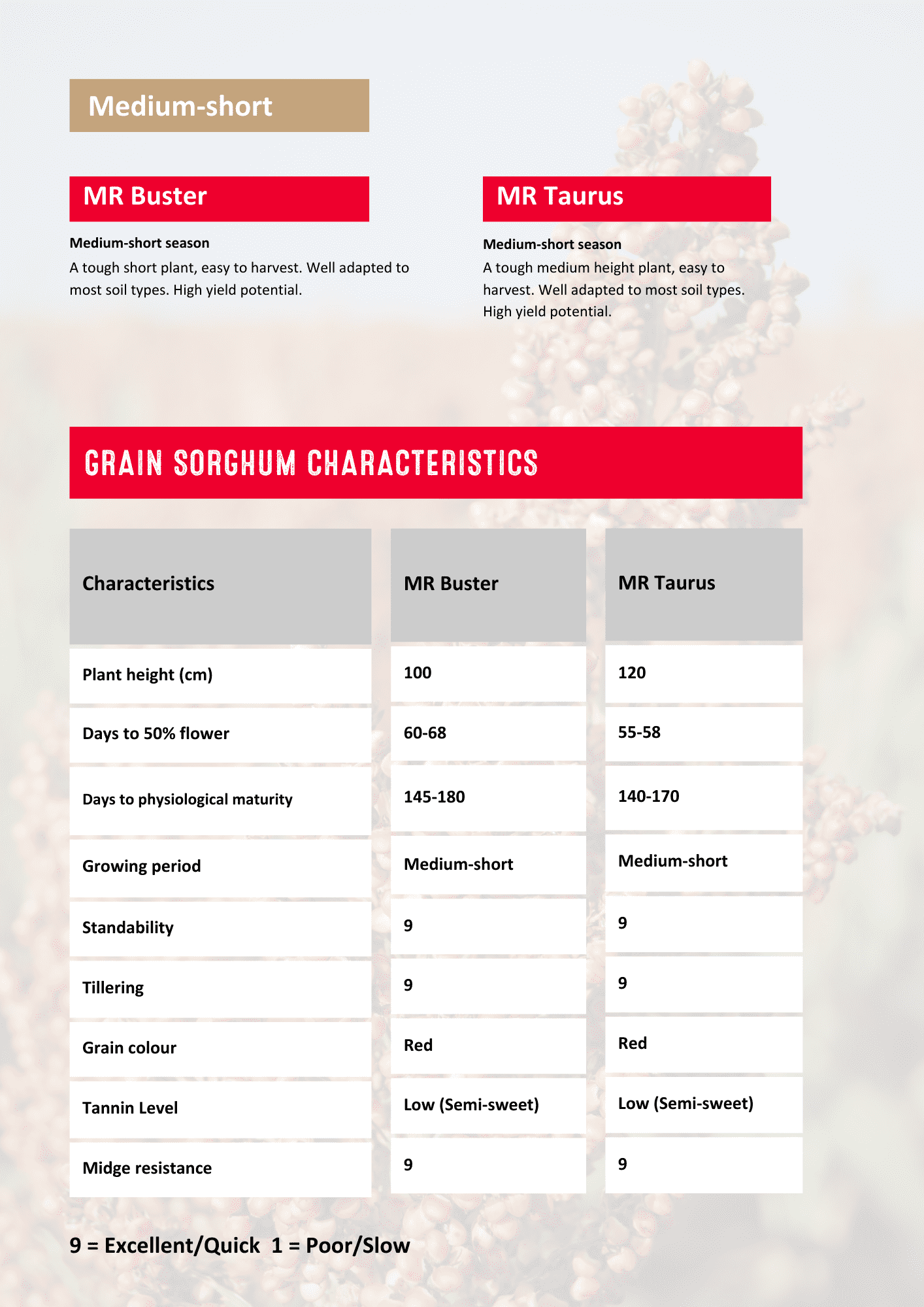 Sorghum-Characteristics